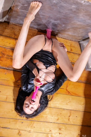 Bernie In Darkside 6