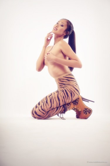 Danika In Sexy Animal Print Tights 3