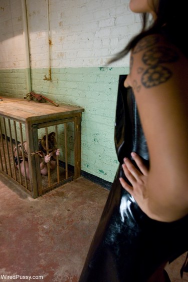 Dragon Lily And Marie Mc Cray 16