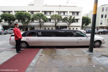 Elegant Maitresse Madeline Marlowe 7