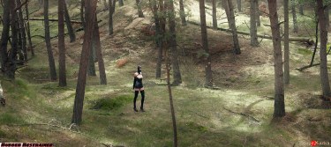 Find Your Way Back 14