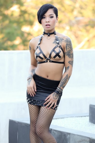 Honey Gold In Leather And Fishnets 2