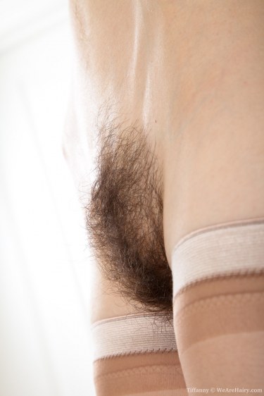 Hot Hairy Minx Tiffanny Spreads Her Muff 14