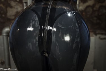 Phoenix Marie In A Shiny Black Latex Suit 9