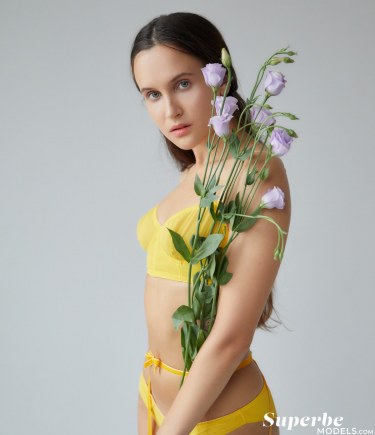 Sexy Lingerie Model Brianna Wolf 4